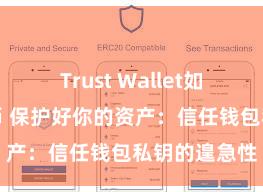 Trust Wallet如何下载并存币 保护好你的资产：信任钱包私钥的遑急性